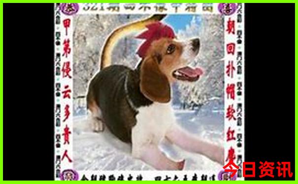 云南游玩景点推荐